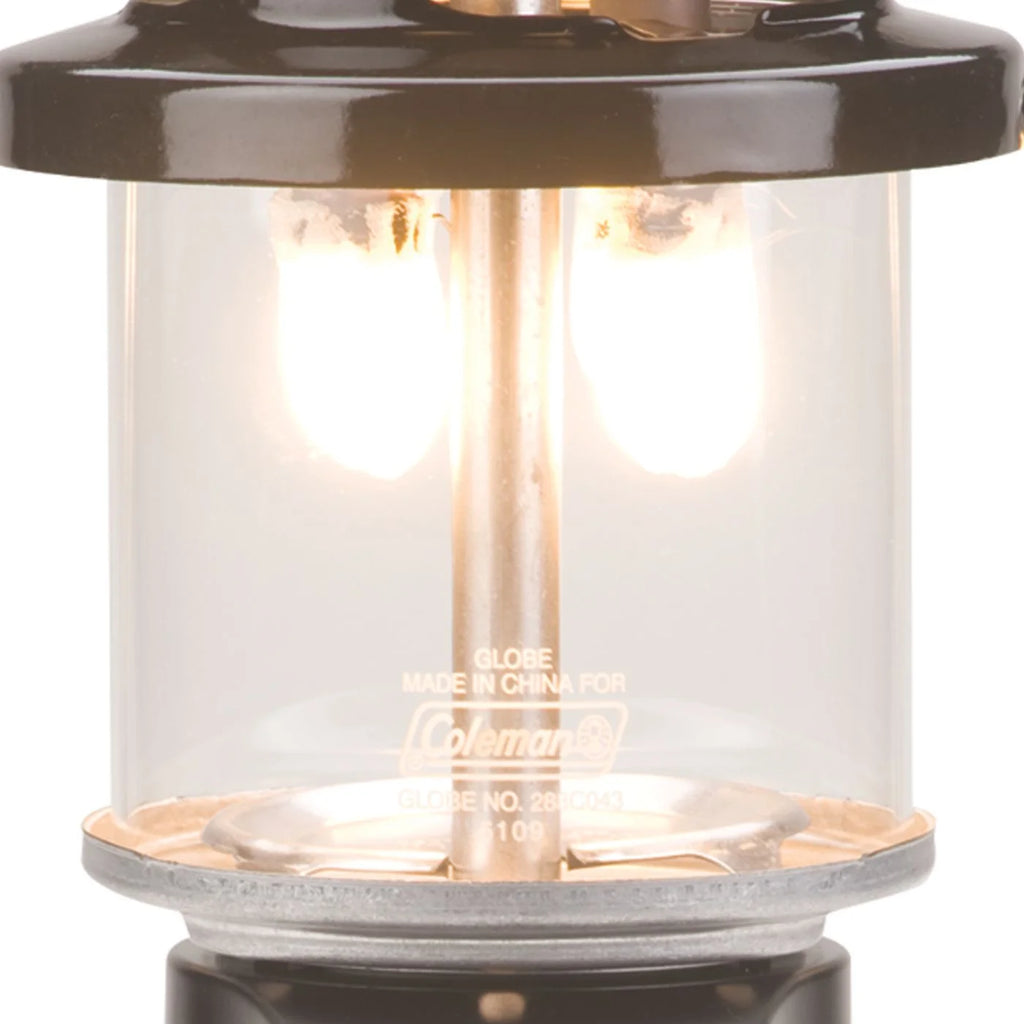 Replacement Lantern Globe